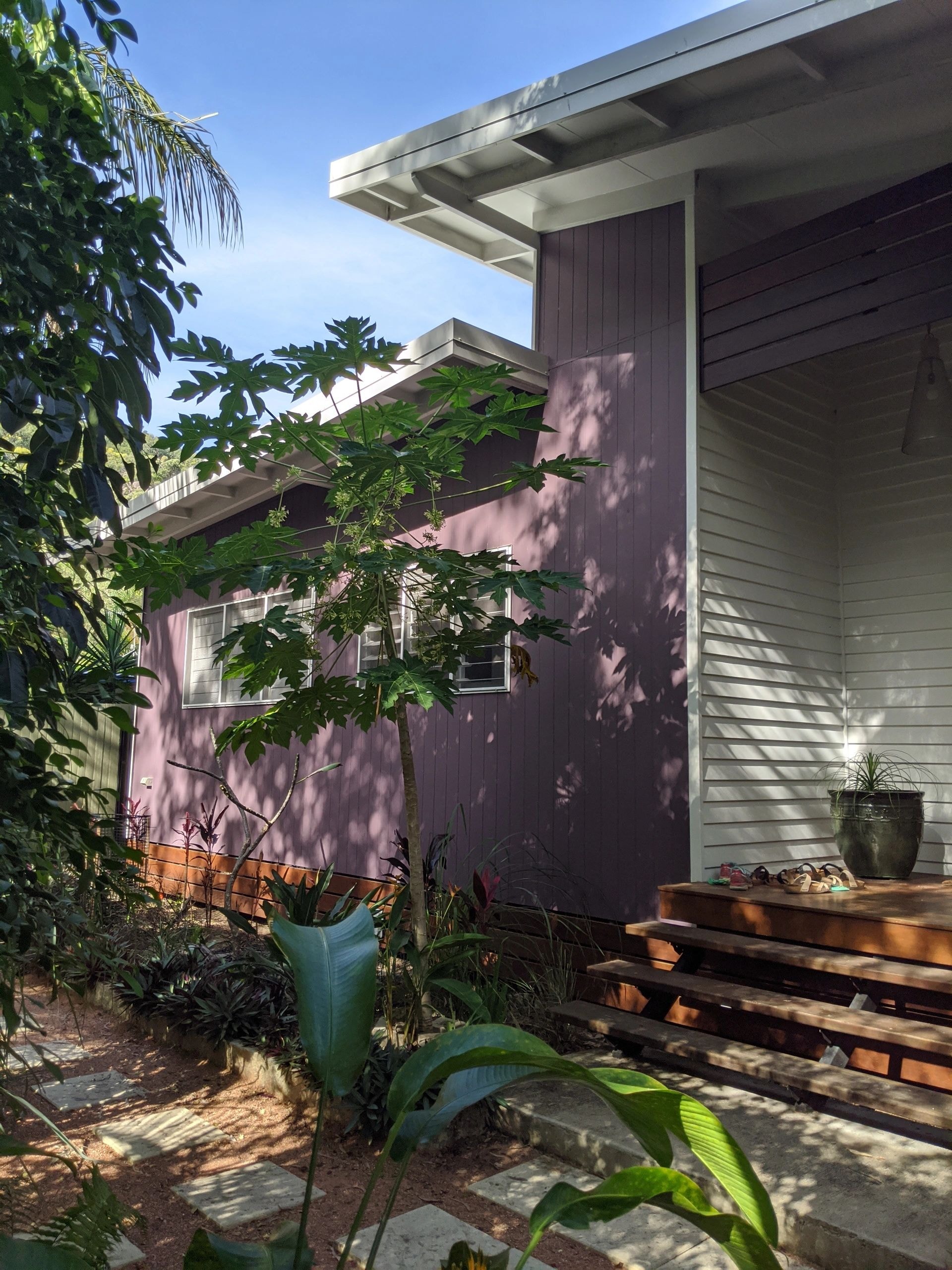 butterfly — exterior
