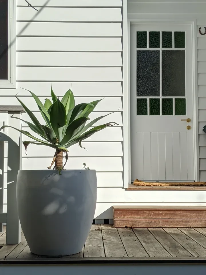 reef shack — front door with agave planter