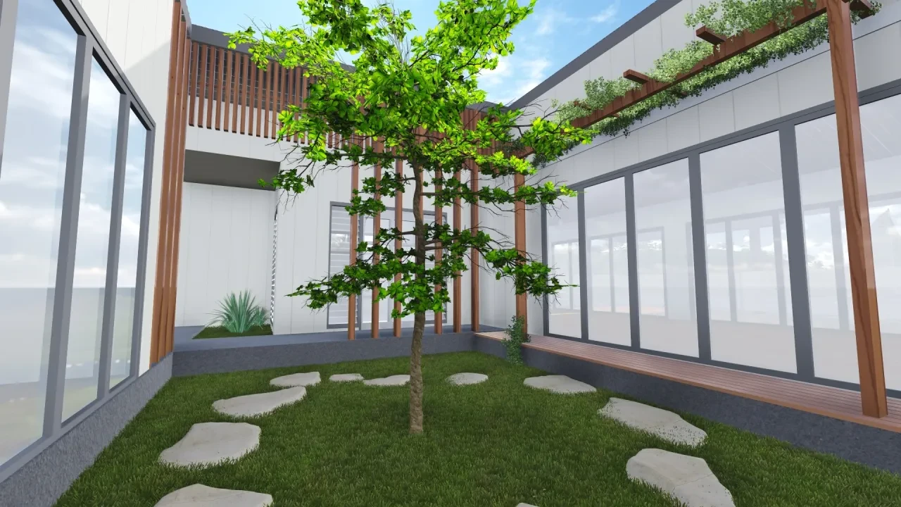 ROBSON — courtyard with feature tree and timber pergola
