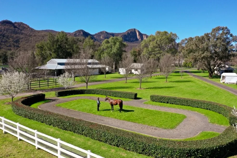 Stable — aerial view of curved arena, grounds and mountain backdrop